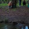 Бобр в Городе :: юрий поляков
