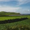 Magic Azores 54 :: Arturs Ancans