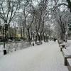 Мой город :: Роман Савоцкий
