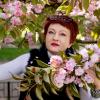 Сакуры :: Лана 