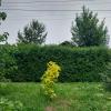 Talgar. :: Murat Bukaev 
