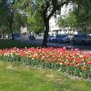 Городские зарисовки. :: Ольга Довженко