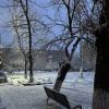 *** :: Яна Горбунова