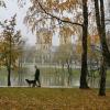 Осень :: ZNatasha -