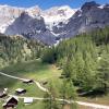 Мир Природы .../... "Natural World" :: "The Natural World" Александер