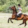Кросс :: SanSan 
