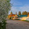 Город - цветущий сад :: Александр Филатов