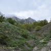 Природа Крыма :: AmazingCosmea 