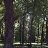 *** :: Валентина Береснева