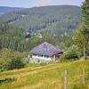 ***** :: Андроник Александр 