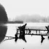 ----morning mirror--- :: AL Reborn 