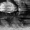 Dont Push Your Foot On the Heartbrake :: Maria Rainer