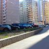Каменные джунгли :: Василий 