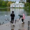 "Второй" завтрак у пернатых.. :: Алекс Б-в