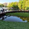 Воронцовский парк :: Галина R...