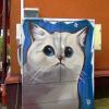 Белый котик :: Сергей Карачин