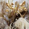 Букет с помпасной травой :: Aida10 