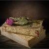 Сухая роз и старые книги.... :: Алексей Мезенцев