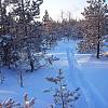 Январь...На лыжах к заветной протоке Чеускина! :: Владимир 