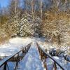 Пешеходный мост через речку. :: Милешкин Владимир Алексеевич 