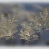 Морозные узоры ... :: Валентина Надсон