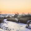 Морозный закат дня святой Татьяны :: Валерий VRN