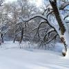 Зима в январе. :: Милешкин Владимир Алексеевич 