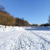 Зимний парк. :: Милешкин Владимир Алексеевич 