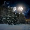 Лунная ночь. :: Михаил Курзанцев