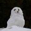 Снеговик - сова. :: Наталья Вязигина