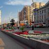 Цветы на улицах Тамбова :: MILAV V