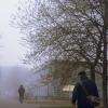 Утро. Туман. Пешеходы :: Dar(k) Life