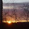Утреннее небо :: Anna-Sabina Anna-Sabina