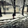 *** :: Любовь 