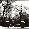 Летний Сад зимой- 4 :: Алексей Кузнецов