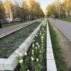 В Новой Москае :: Ирэн