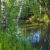 У Тихой Воды :: юрий поляков
