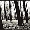 МИР ДЕТСТВА Мальчик в осеннем парке :: Алексей Кузнецов