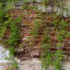 The Wall :: rimgis 