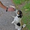 Вкусно! Дай ещё. :: Валентина Нефёдова