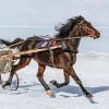 Бега :: SanSan