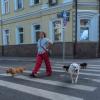 Городская Зарисовка :: юрий поляков