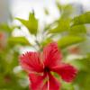 Nature of Panama :: Анастасия Фотографовна