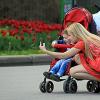 фотография с настроением :: Олег Лукьянов