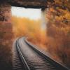 без названия :: fogmeadowww m