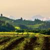 summer view :: Elena Wymann