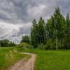 Перед дождем 2 :: Андрей Дворников