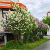 Городская красота . :: Мила Бовкун