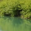 Водные просторы...весенняя акварель... :: Надежда Куркина 