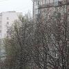 Апрель. :: Владимир Драгунский